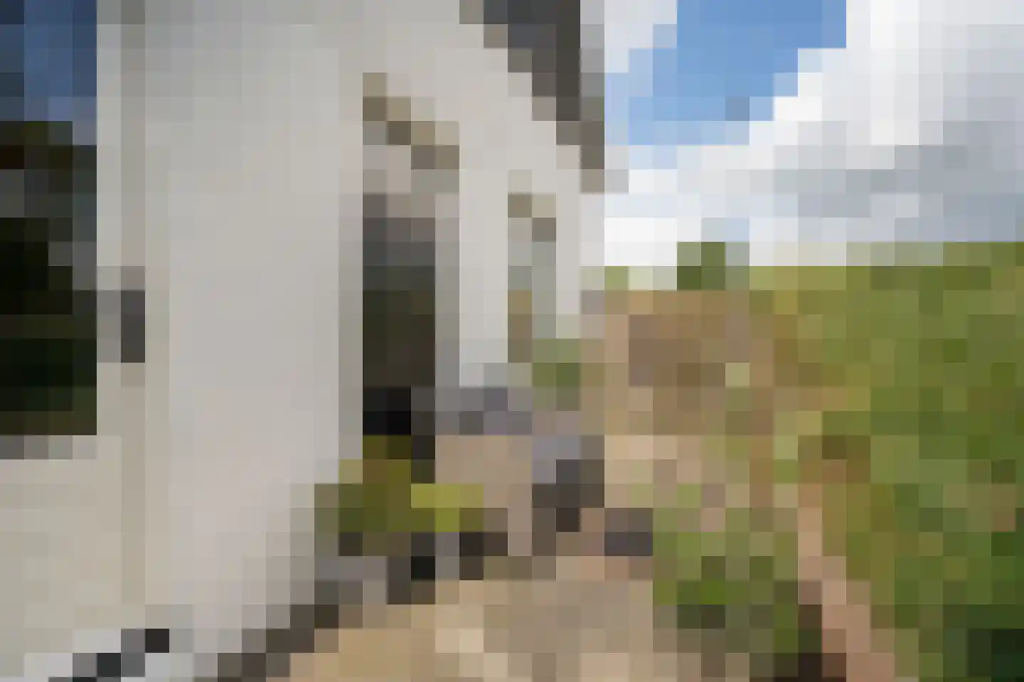 Waaldijk 10 Herwijnen thumbnail 32
