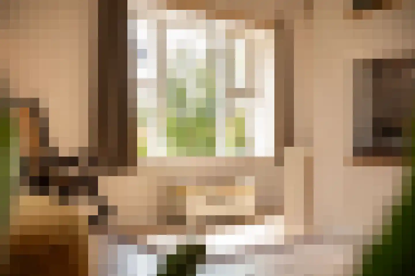 Waaldijk 10 Herwijnen thumbnail 33