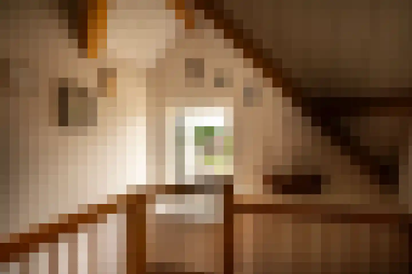 Waaldijk 10 Herwijnen thumbnail 36