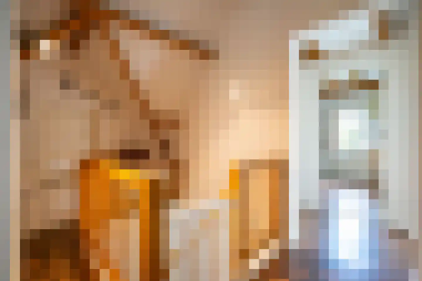 Waaldijk 10 Herwijnen thumbnail 38