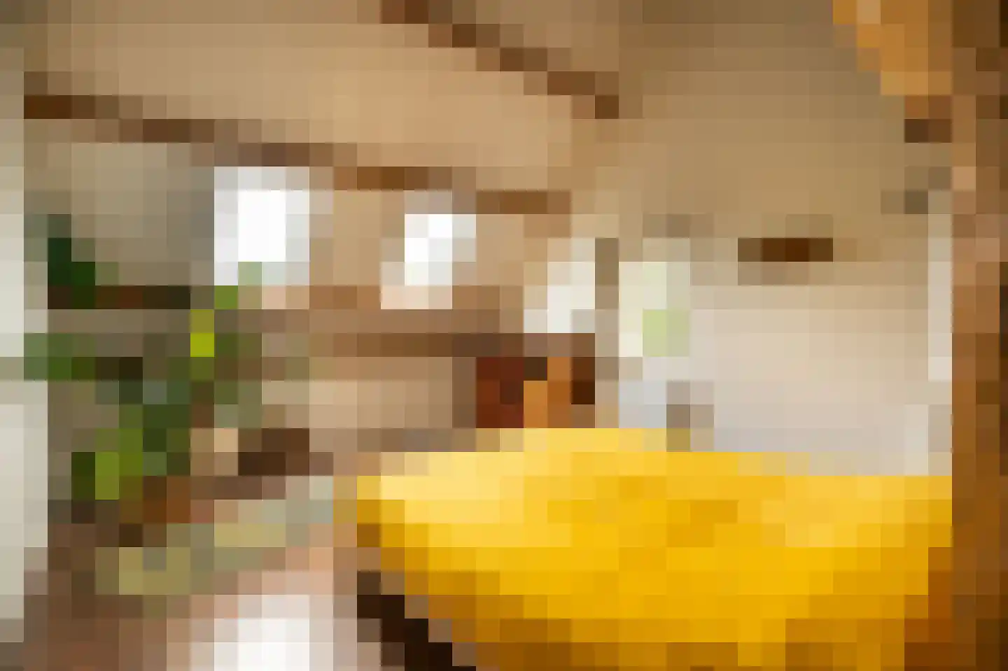 Waaldijk 10 Herwijnen thumbnail 39