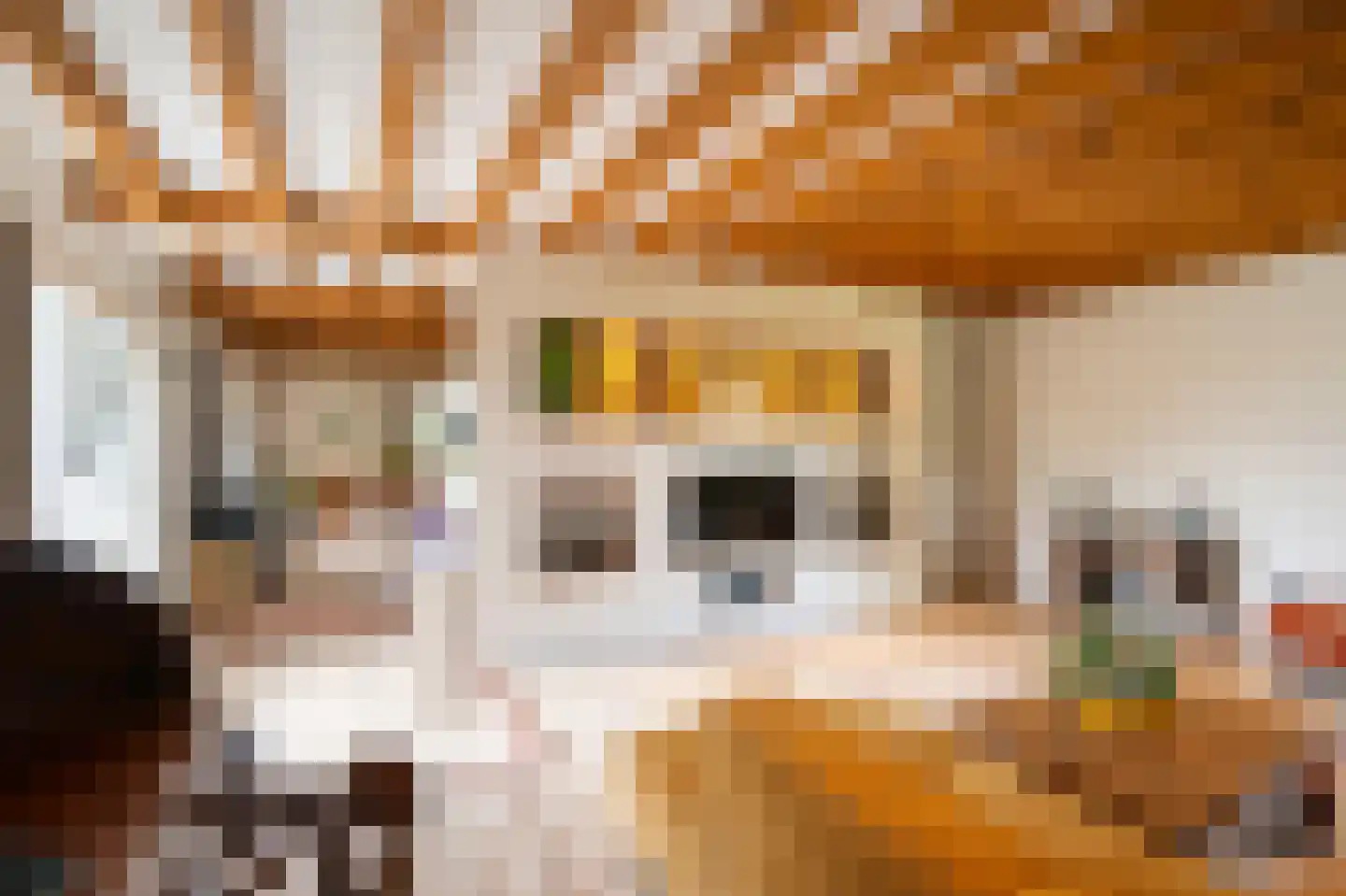 Waaldijk 10 Herwijnen thumbnail 4