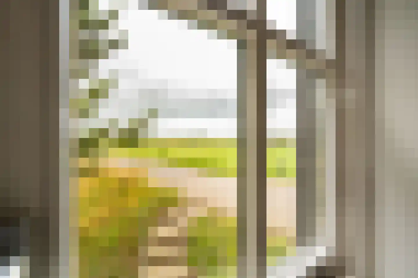 Waaldijk 10 Herwijnen thumbnail 40