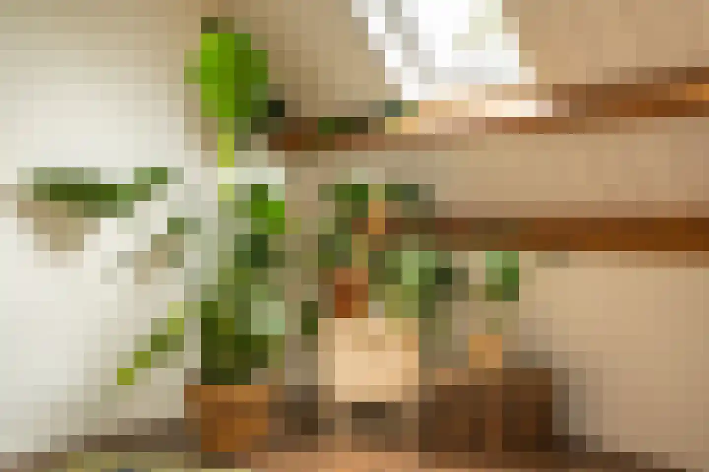 Waaldijk 10 Herwijnen thumbnail 43