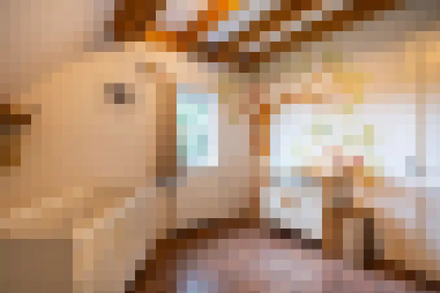Waaldijk 10 Herwijnen thumbnail 45
