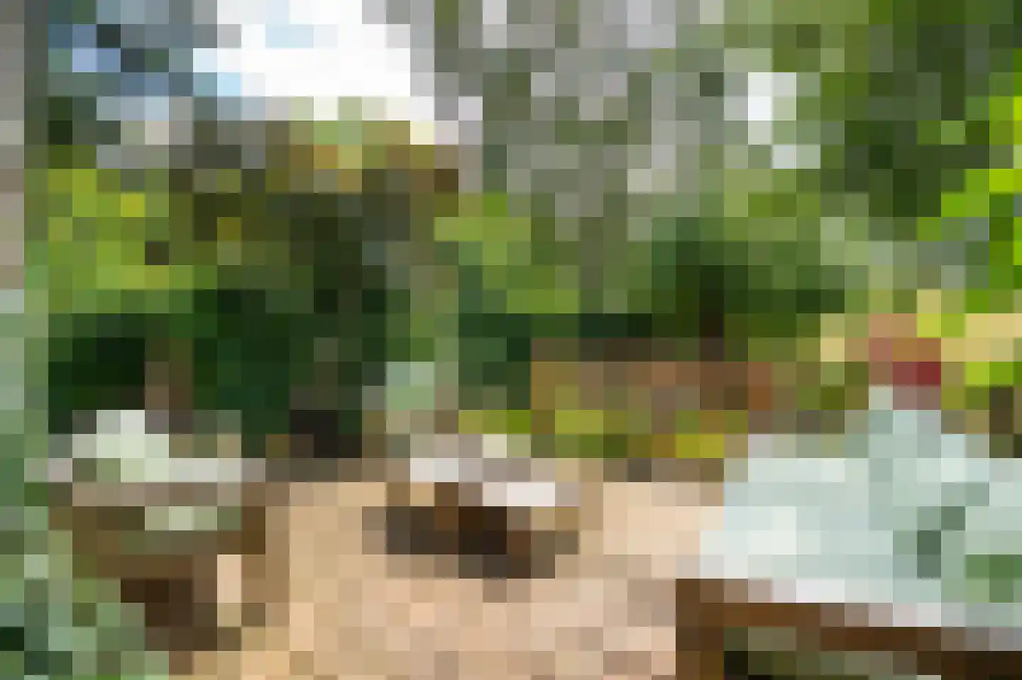 Waaldijk 10 Herwijnen thumbnail 5
