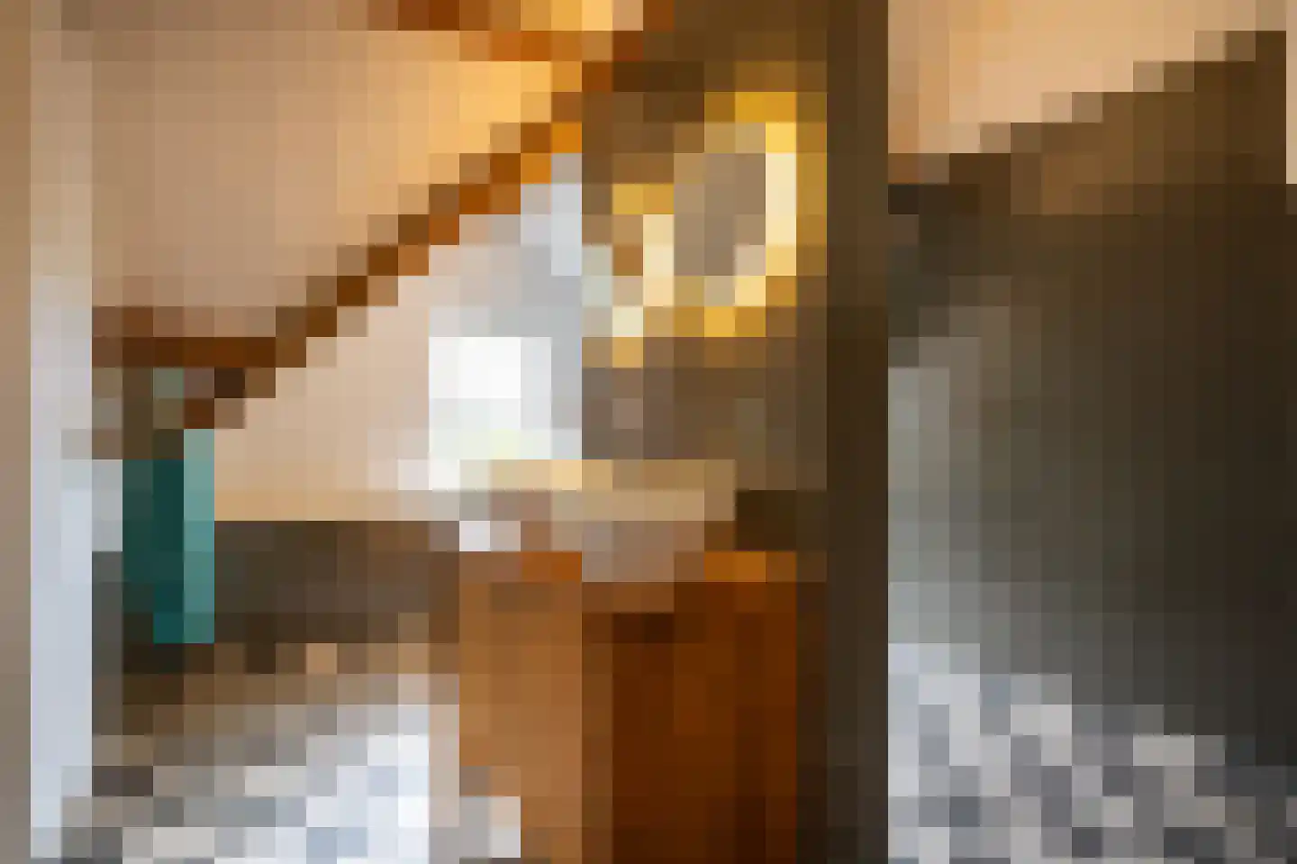 Waaldijk 10 Herwijnen thumbnail 53