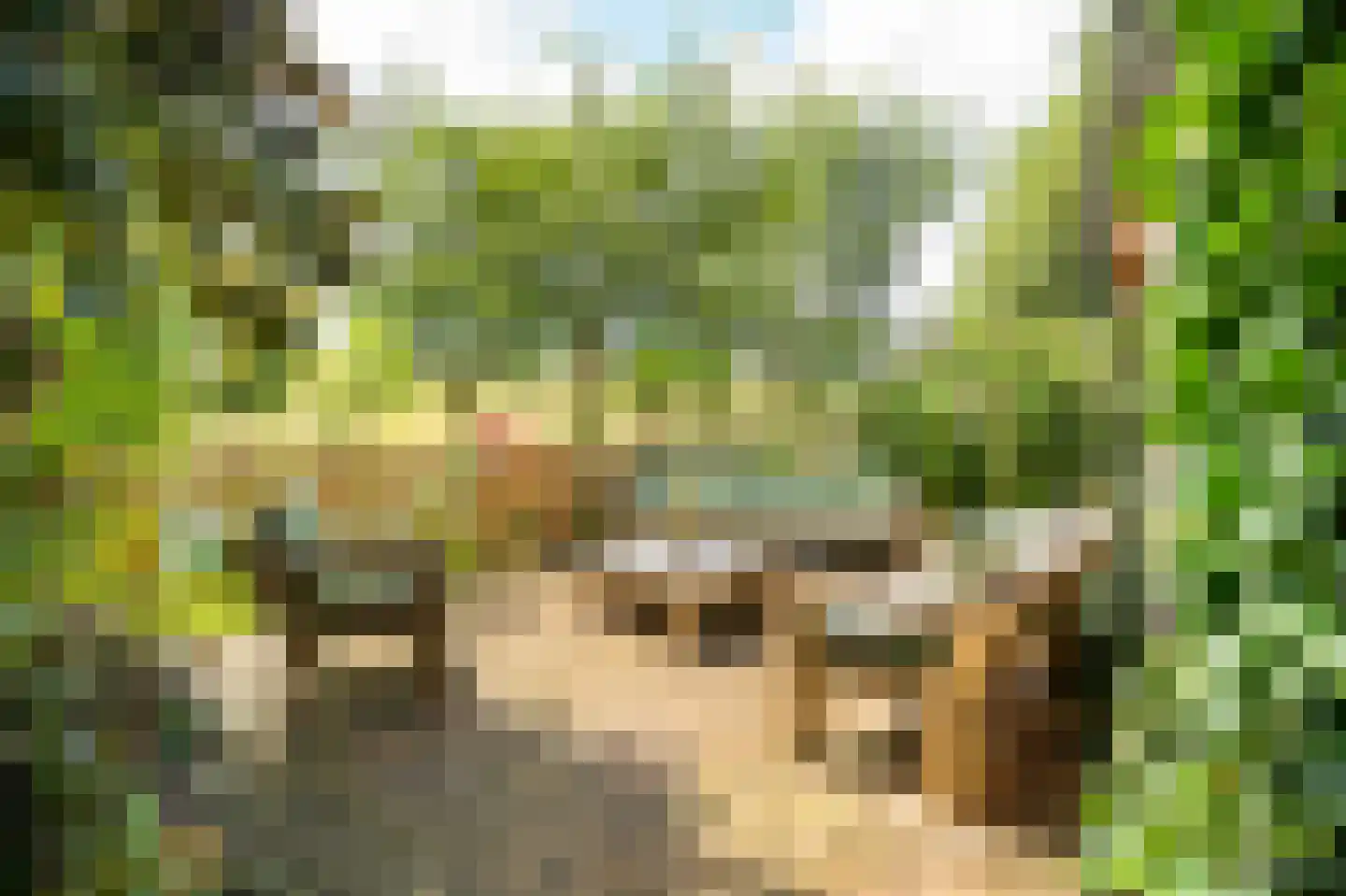 Waaldijk 10 Herwijnen thumbnail 57