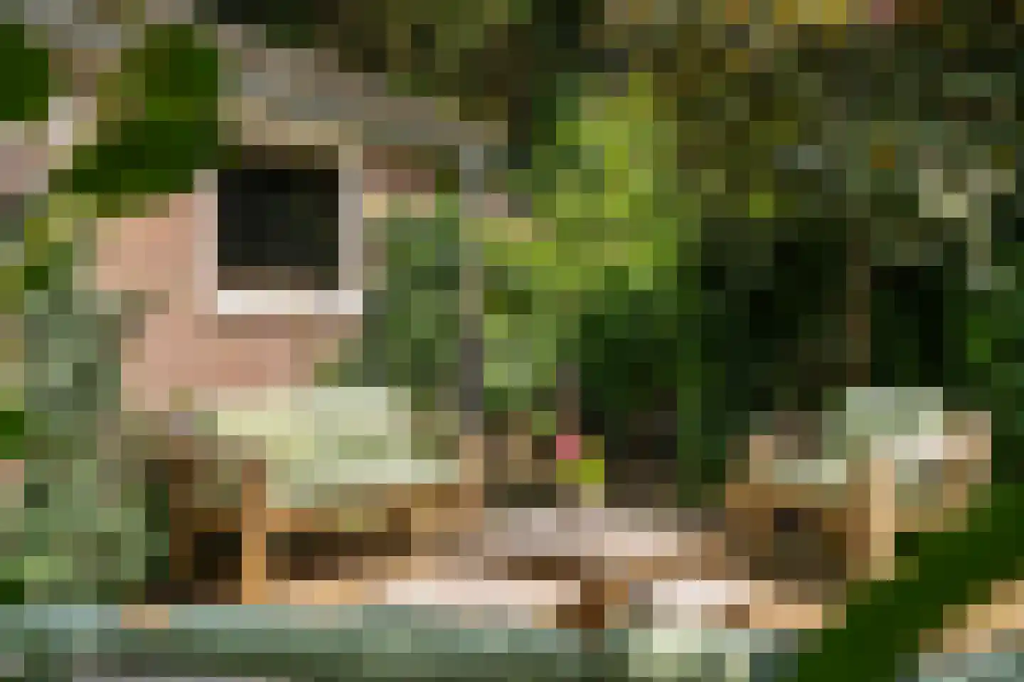 Waaldijk 10 Herwijnen thumbnail 59