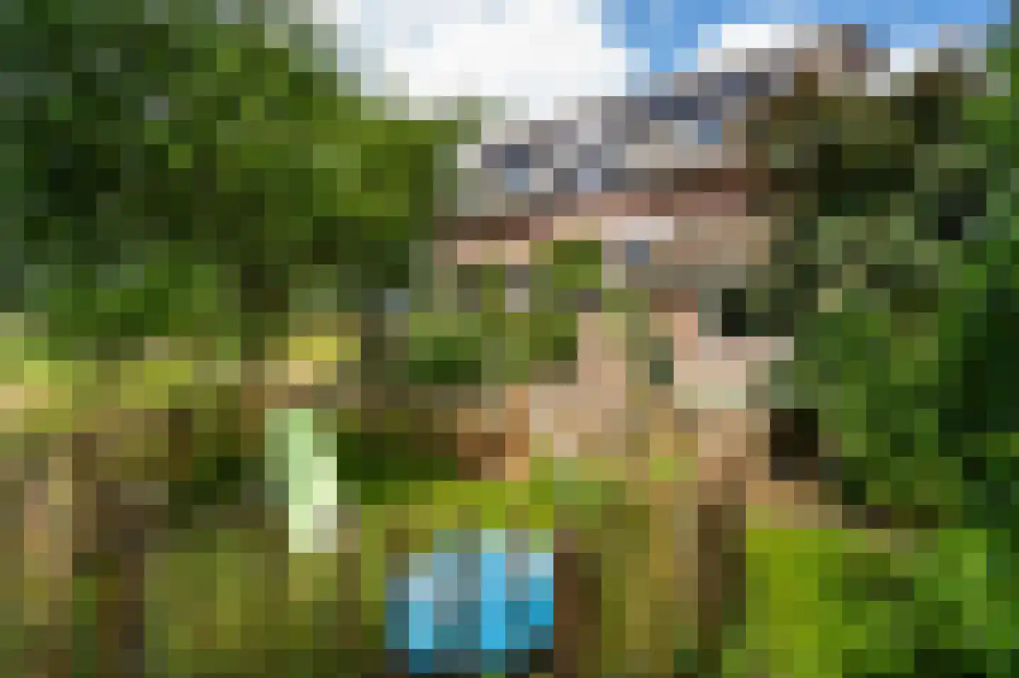 Waaldijk 10 Herwijnen thumbnail 60