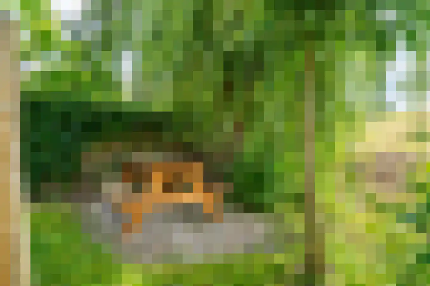 Waaldijk 10 Herwijnen thumbnail 61