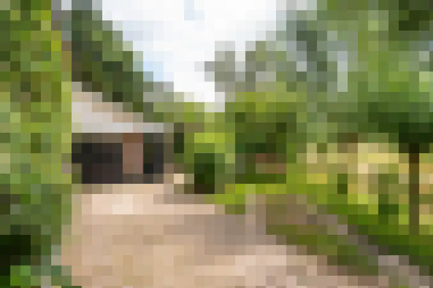 Waaldijk 10 Herwijnen thumbnail 63