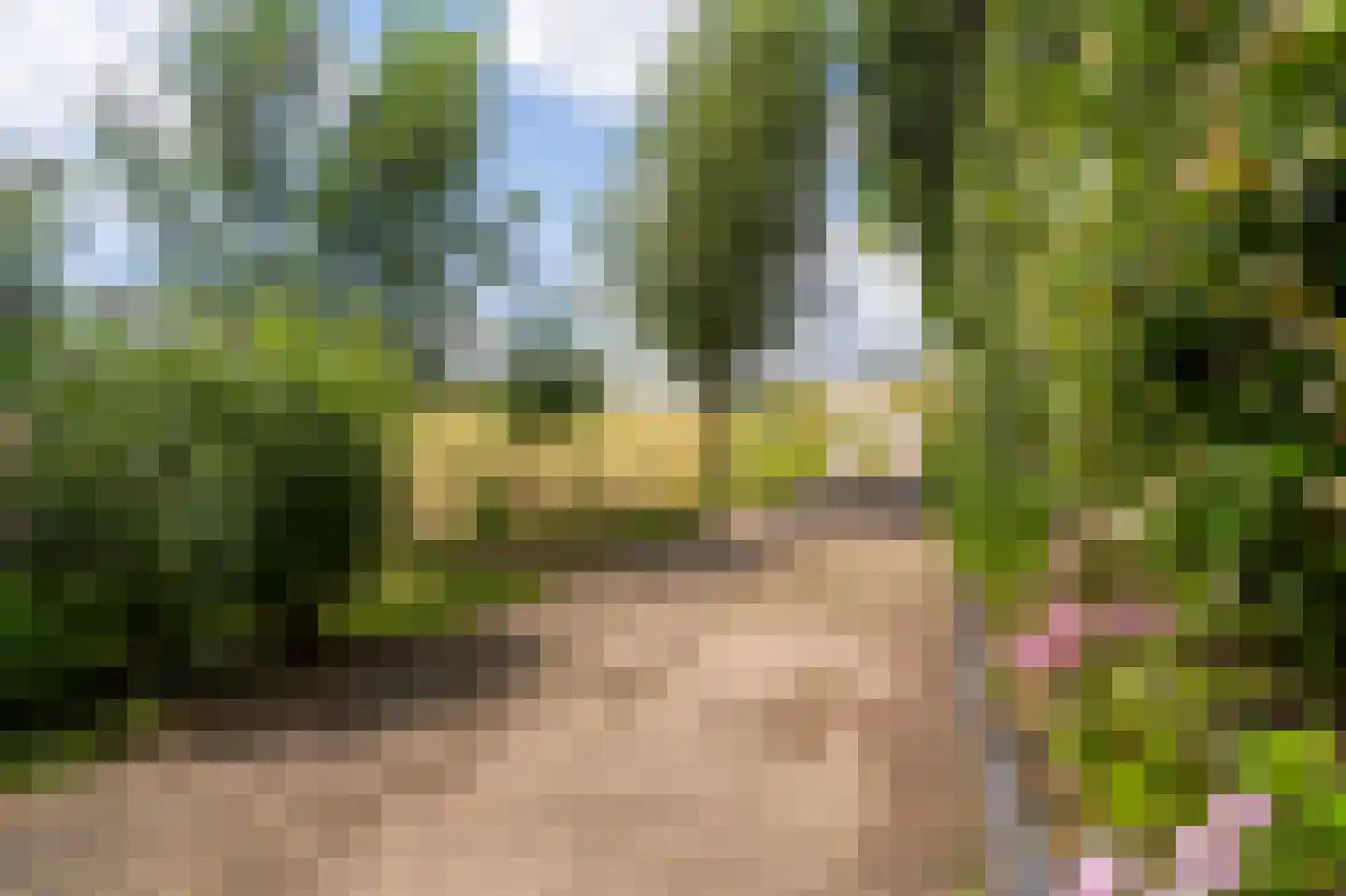Waaldijk 10 Herwijnen thumbnail 64