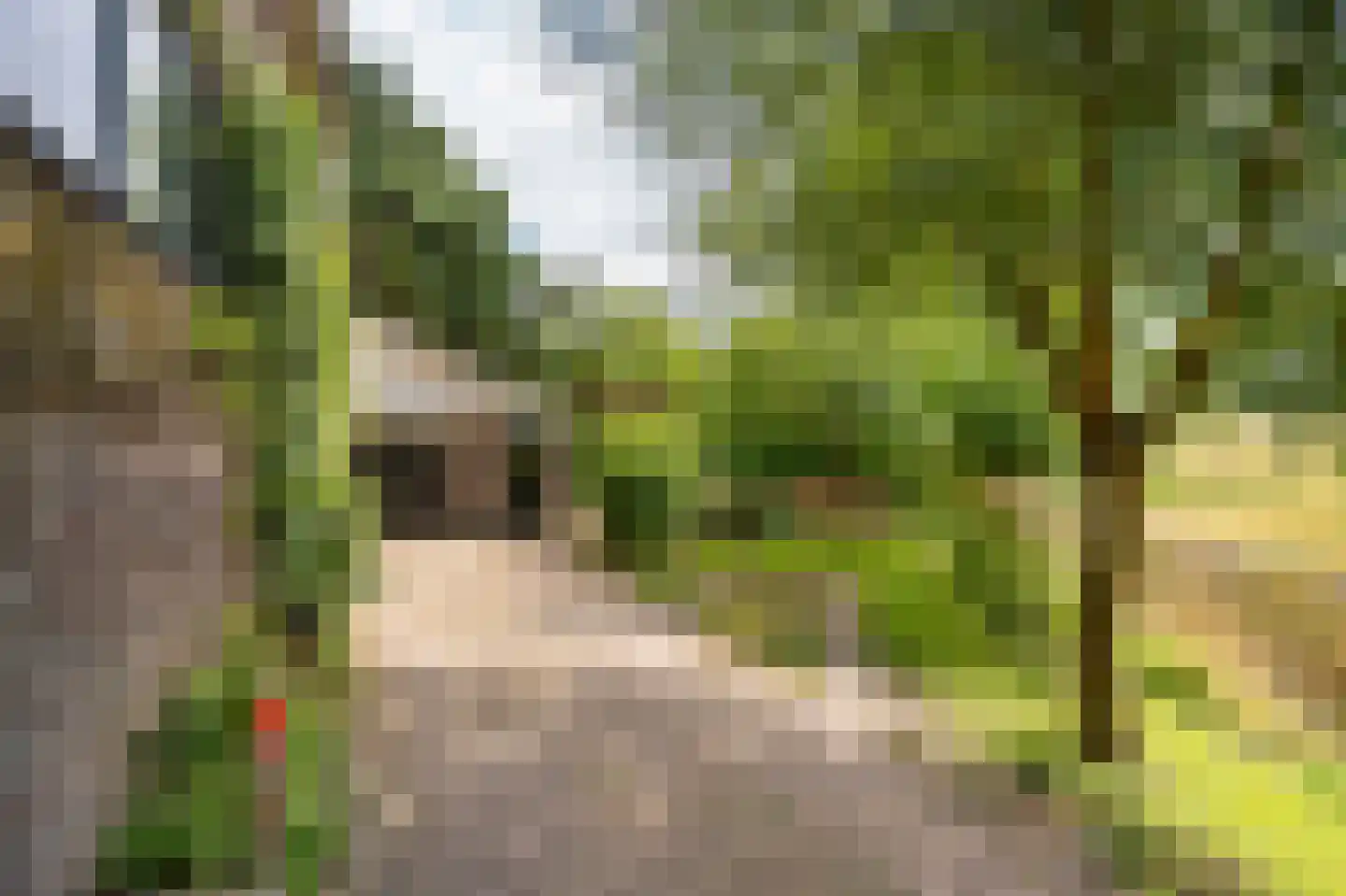 Waaldijk 10 Herwijnen thumbnail 65