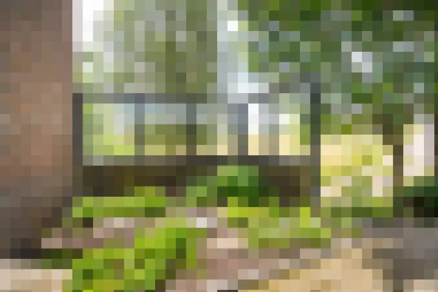 Waaldijk 10 Herwijnen thumbnail 67