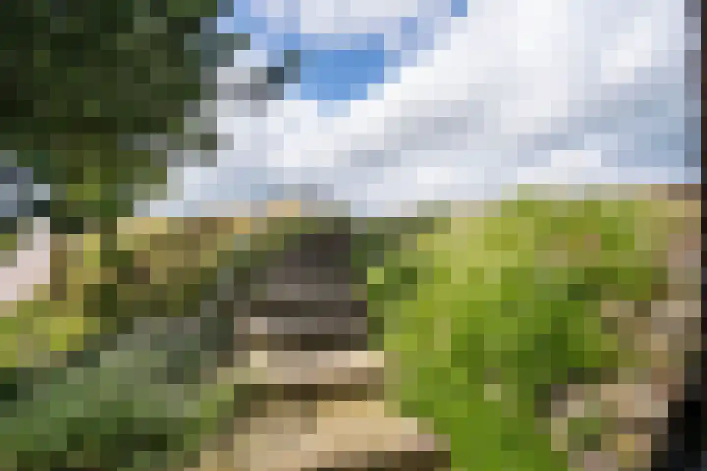 Waaldijk 10 Herwijnen thumbnail 68