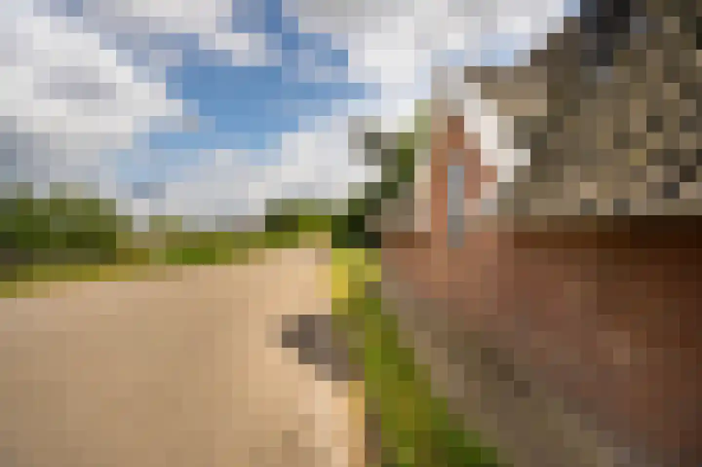 Waaldijk 10 Herwijnen thumbnail 8