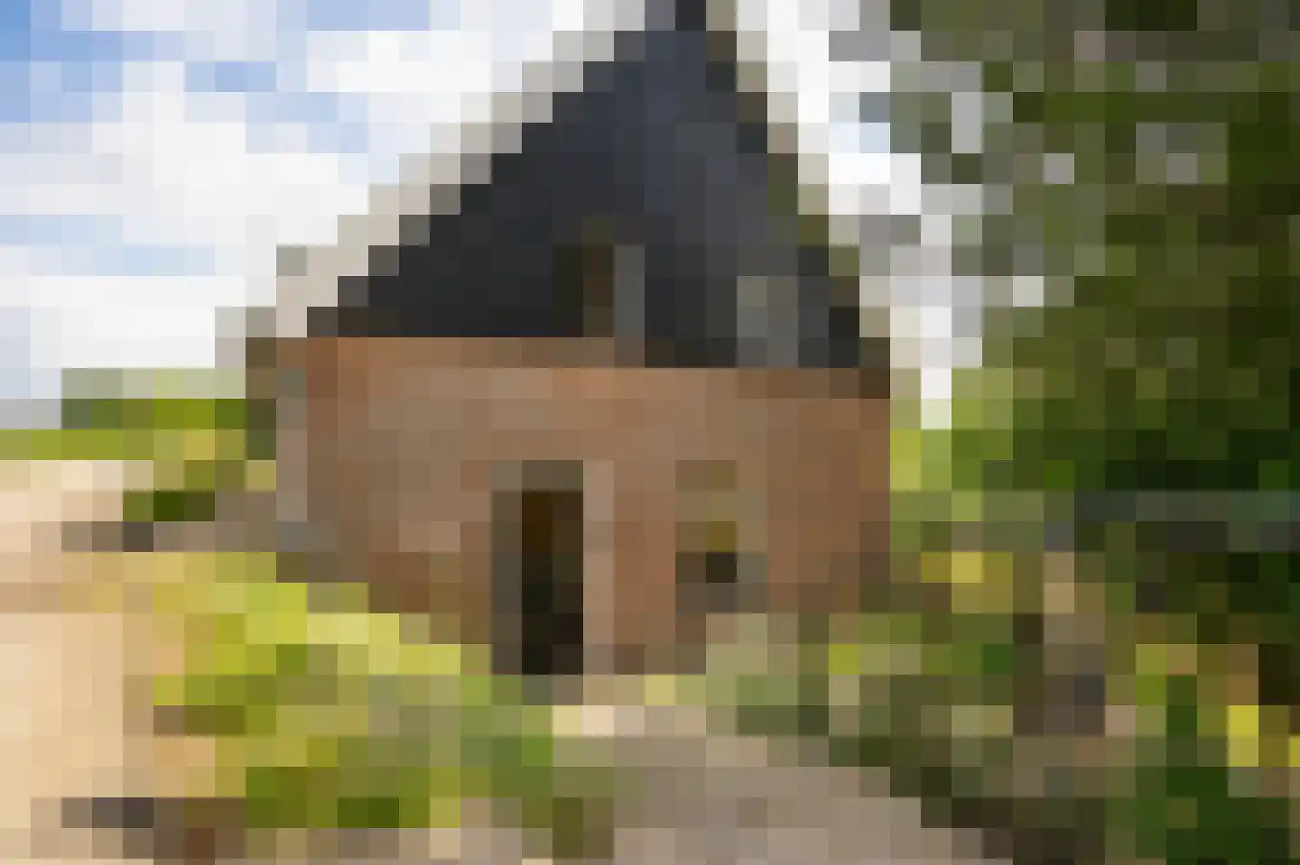 Waaldijk 10 Herwijnen thumbnail 9