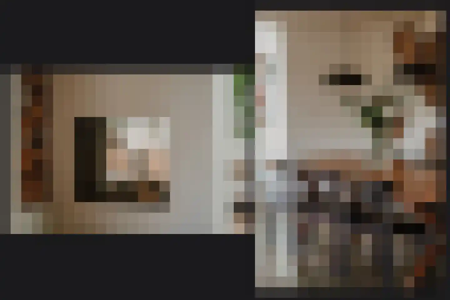Waaldijk 101 Hurwenen thumbnail 10