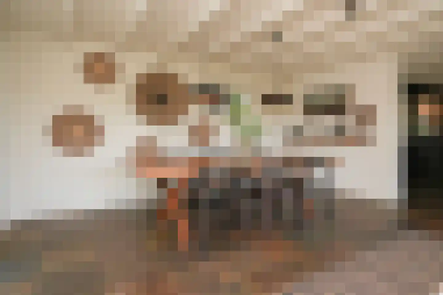 Waaldijk 101 Hurwenen thumbnail 11