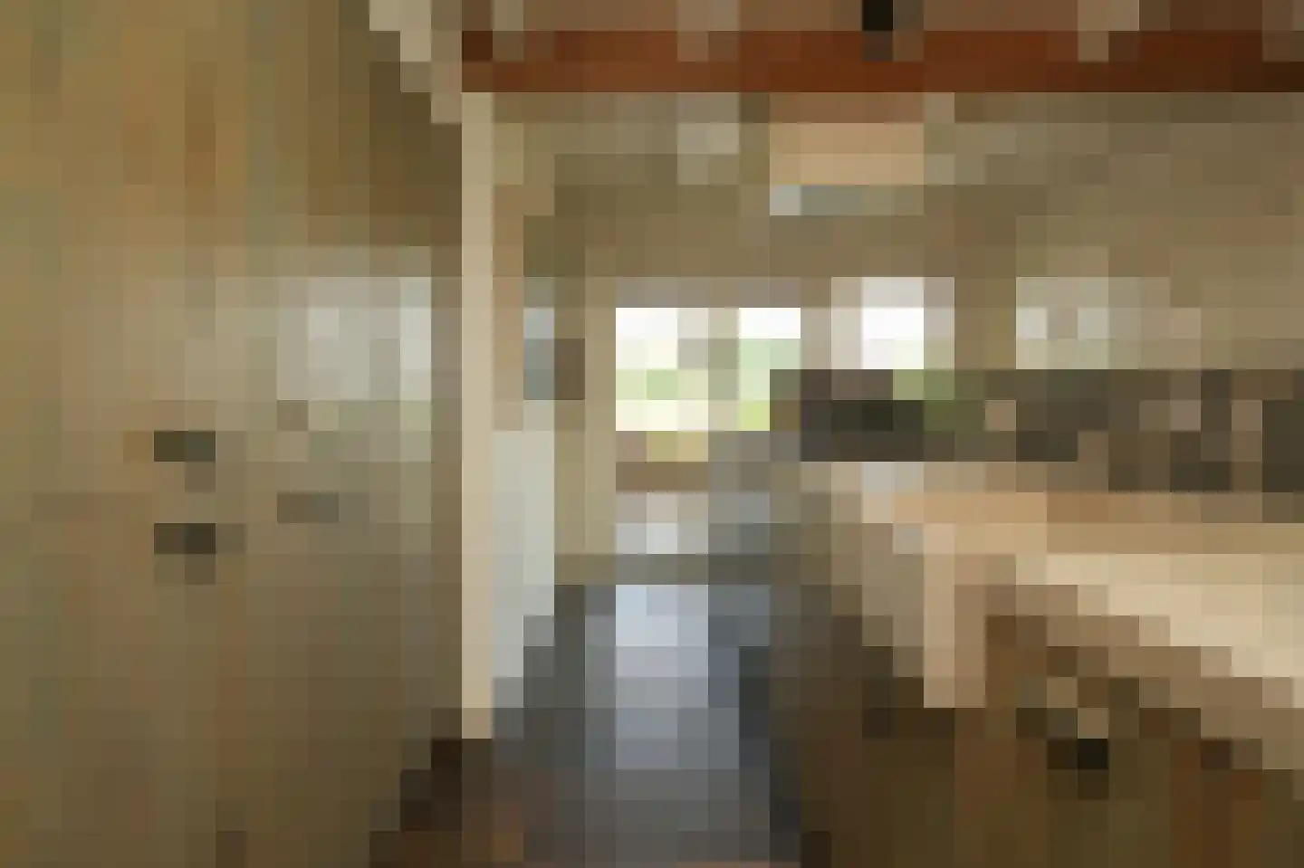 Waaldijk 101 Hurwenen thumbnail 14