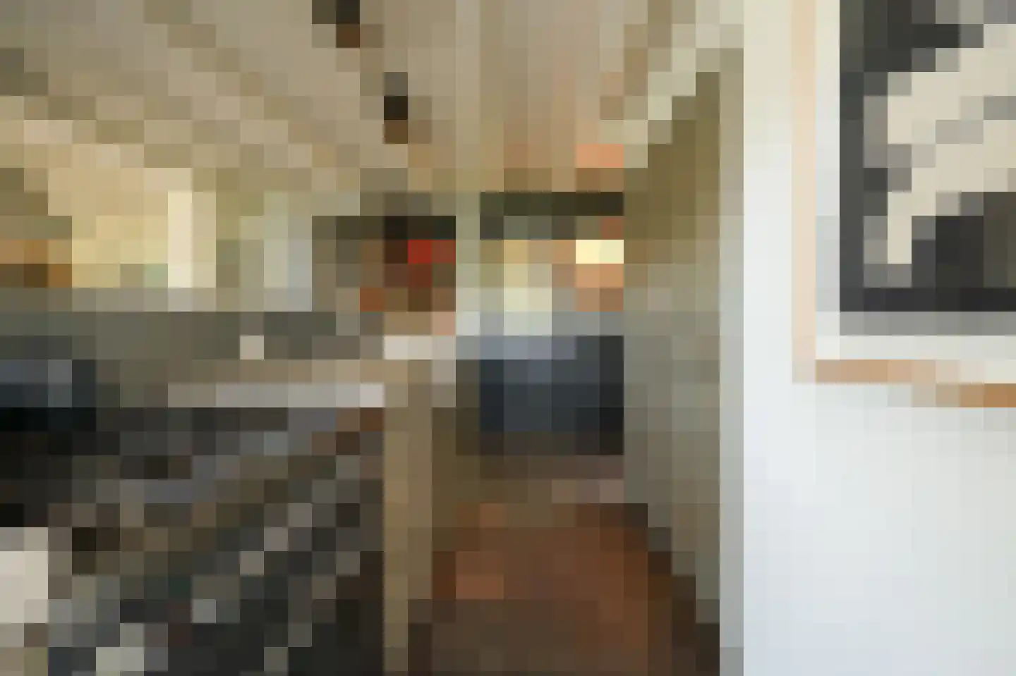 Waaldijk 101 Hurwenen thumbnail 15