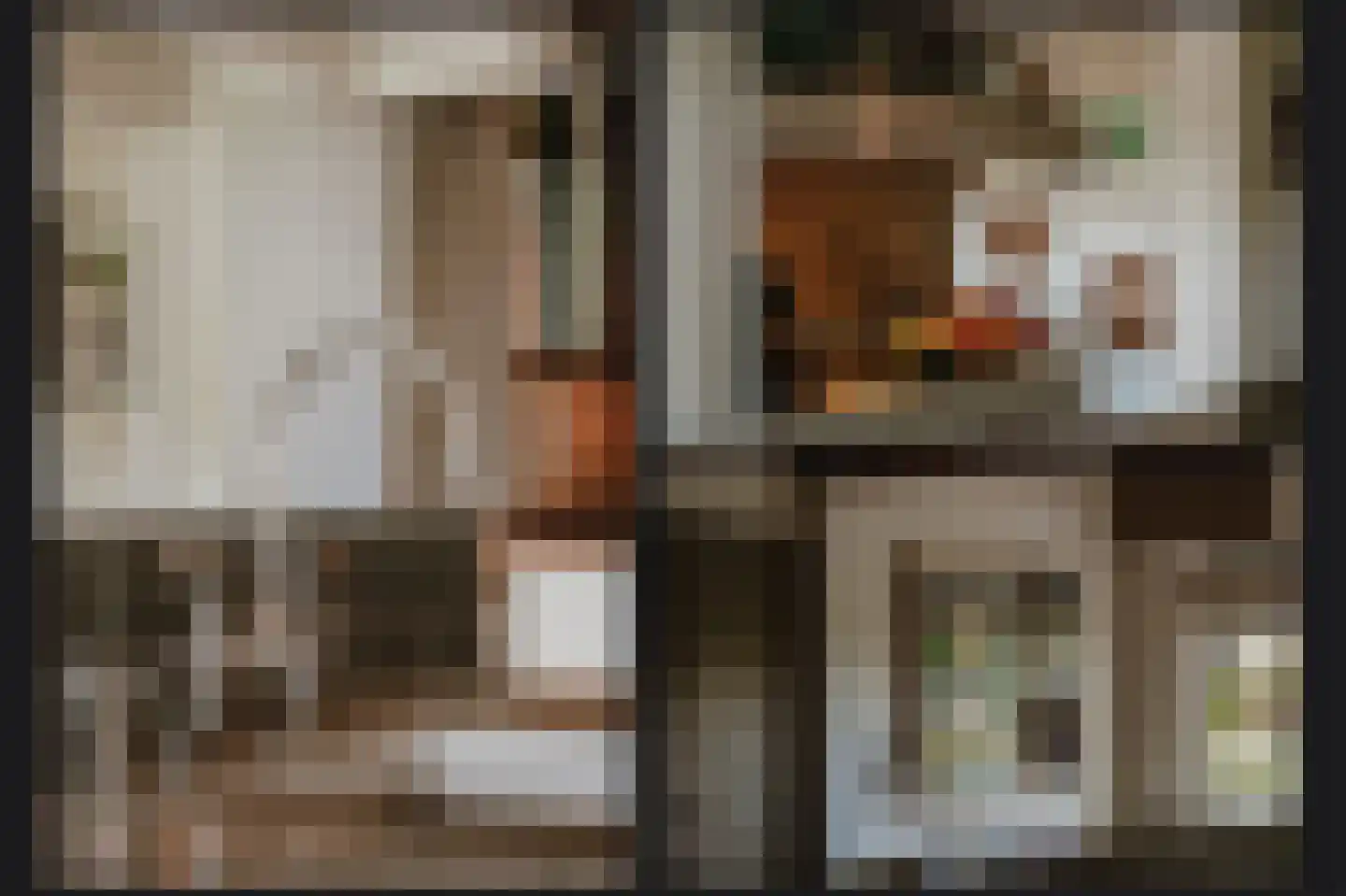 Waaldijk 101 Hurwenen thumbnail 16