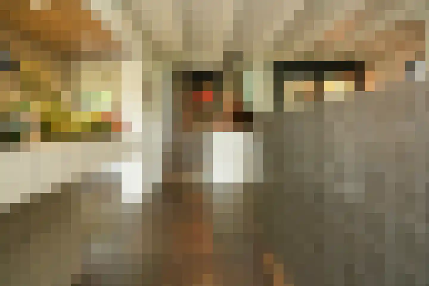 Waaldijk 101 Hurwenen thumbnail 17