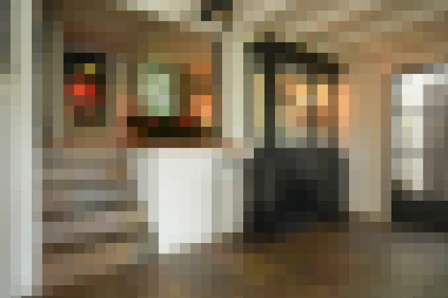 Waaldijk 101 Hurwenen thumbnail 19