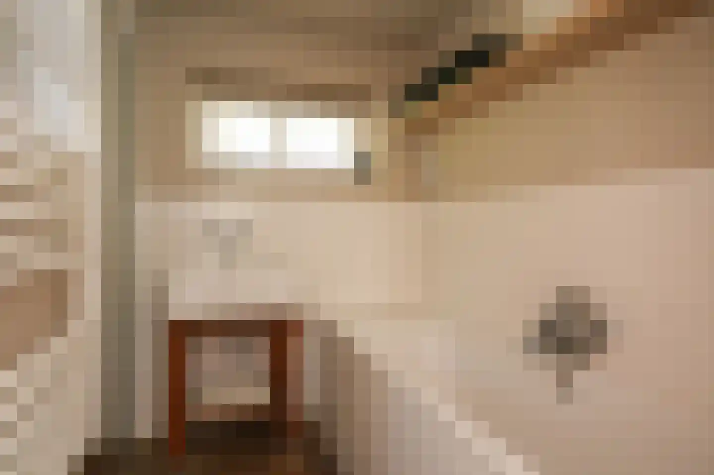 Waaldijk 101 Hurwenen thumbnail 23