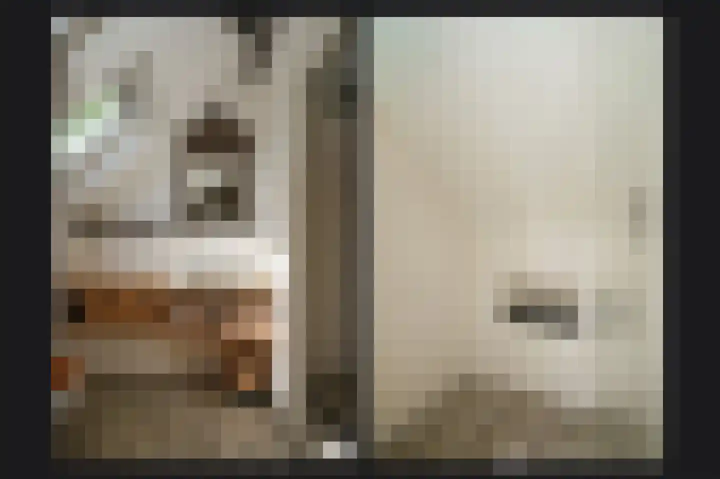 Waaldijk 101 Hurwenen thumbnail 26
