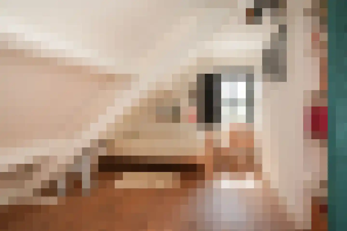Waaldijk 101 Hurwenen thumbnail 30