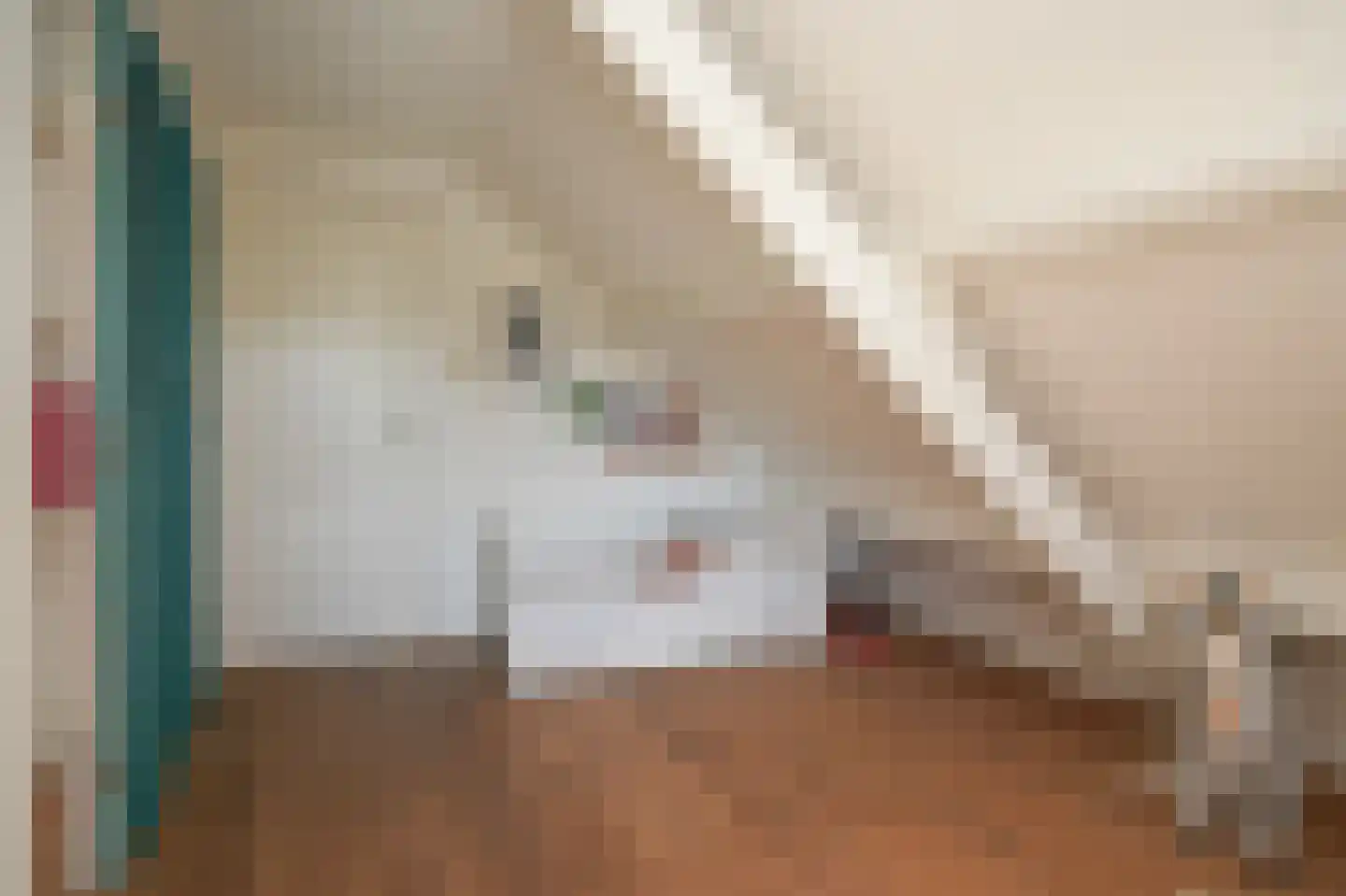 Waaldijk 101 Hurwenen thumbnail 31