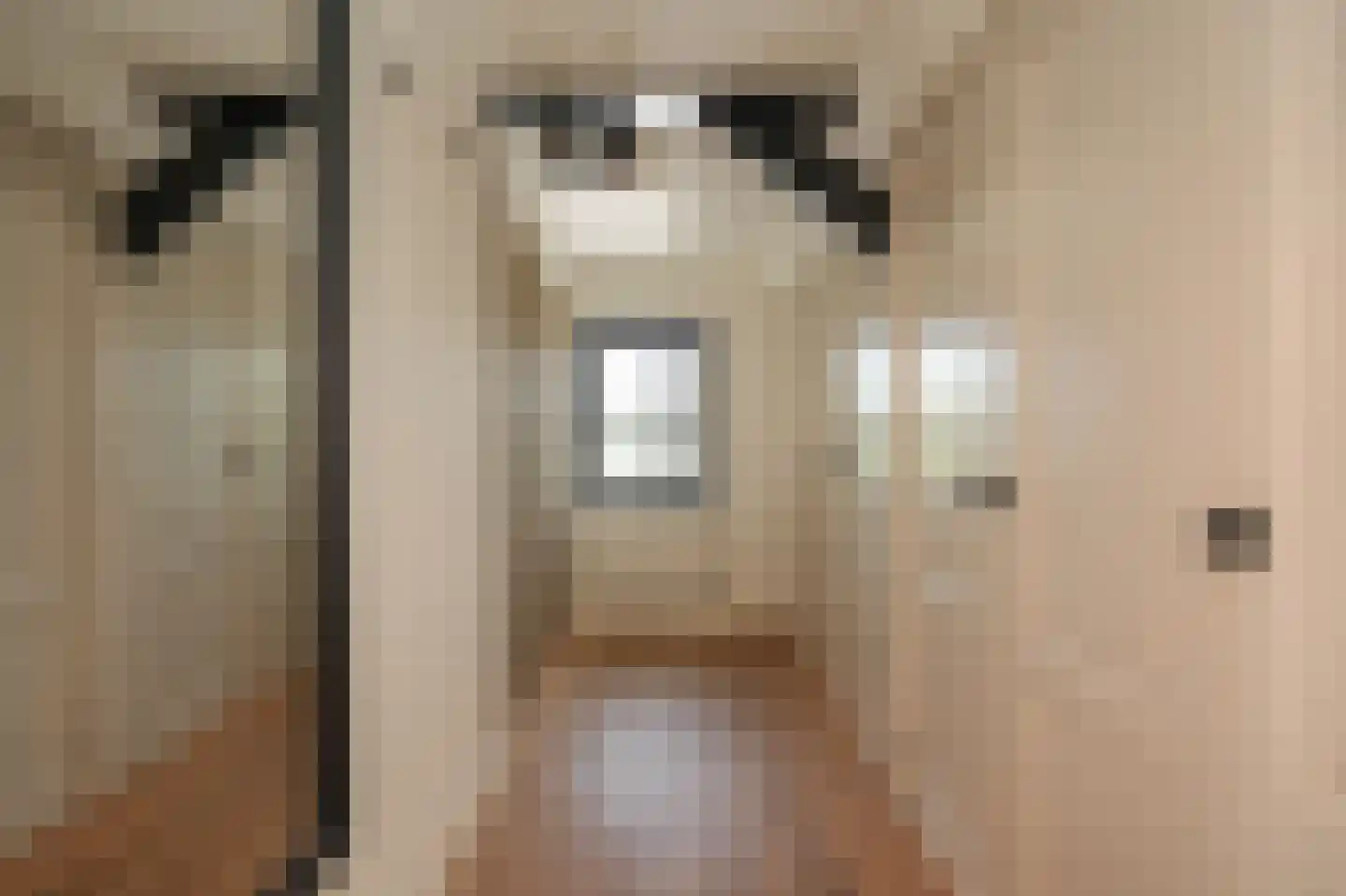 Waaldijk 101 Hurwenen thumbnail 33