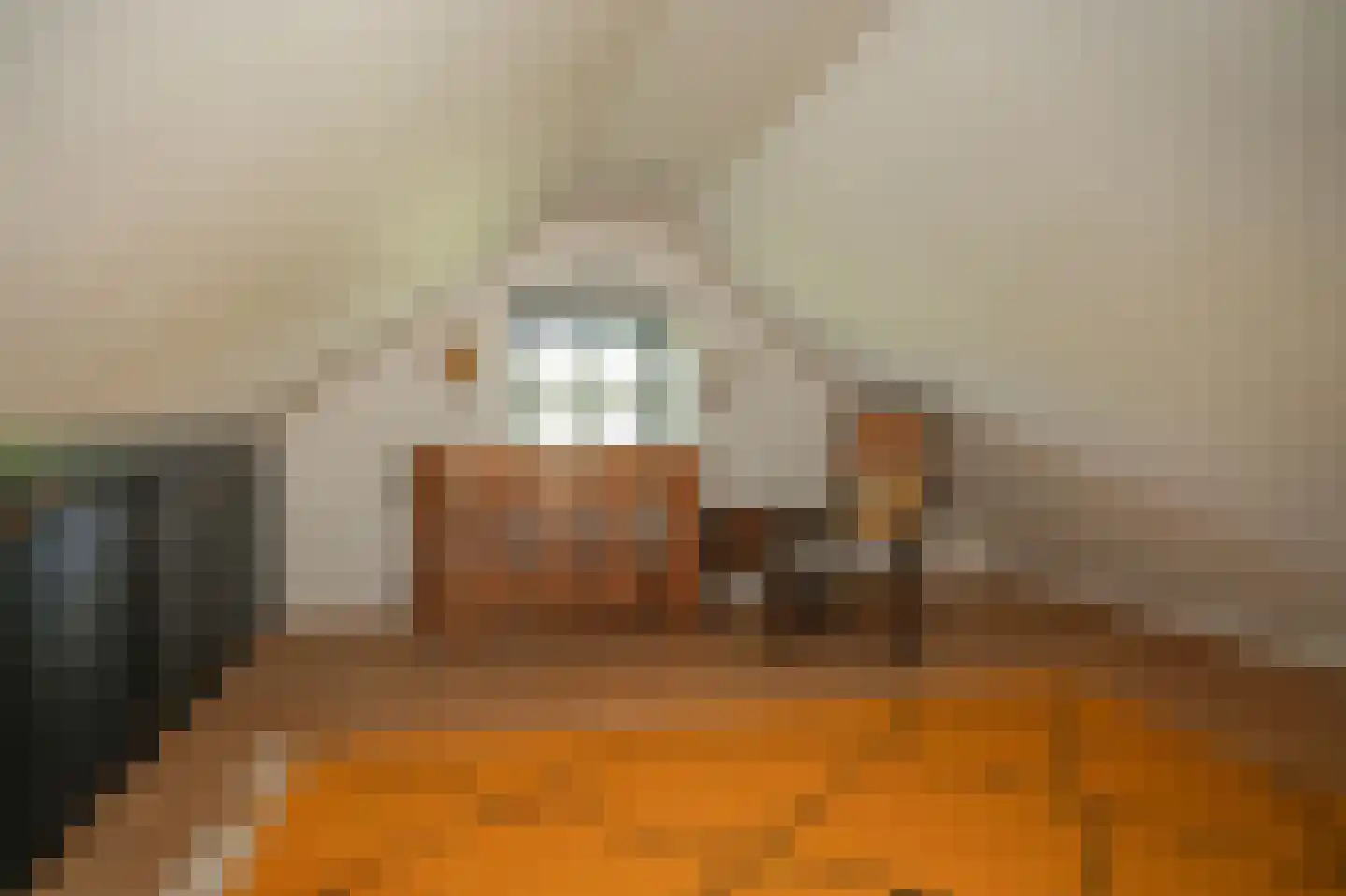 Waaldijk 101 Hurwenen thumbnail 34