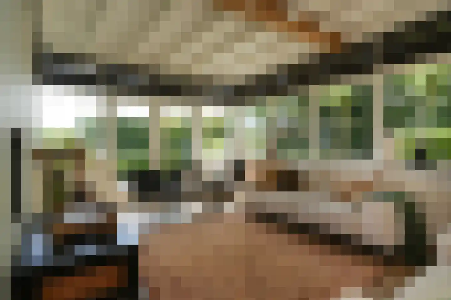 Waaldijk 101 Hurwenen thumbnail 4