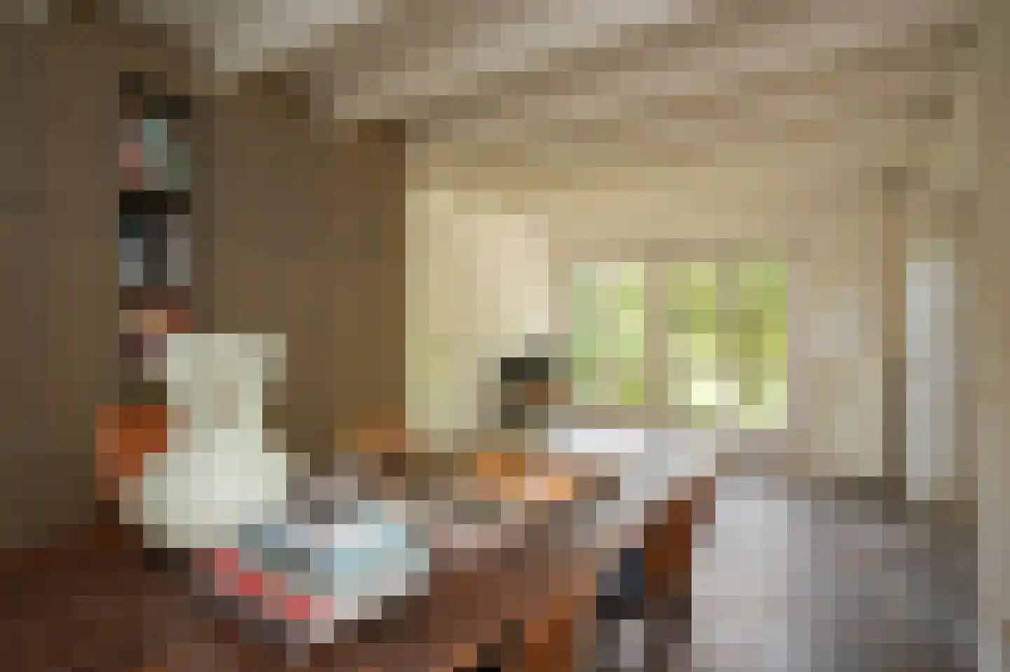 Waaldijk 101 Hurwenen thumbnail 40