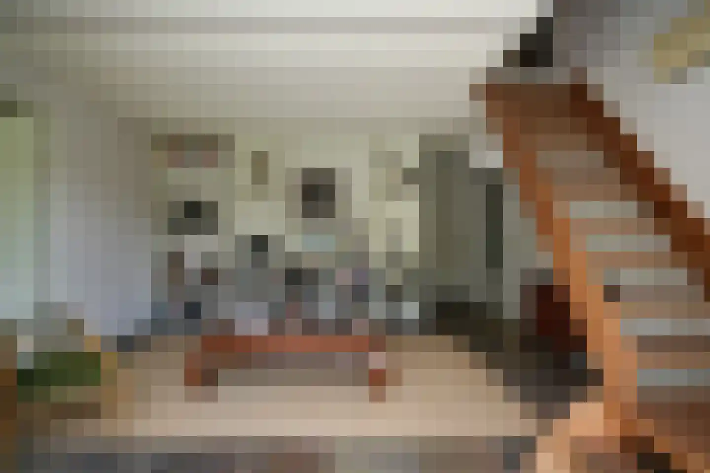 Waaldijk 101 Hurwenen thumbnail 41