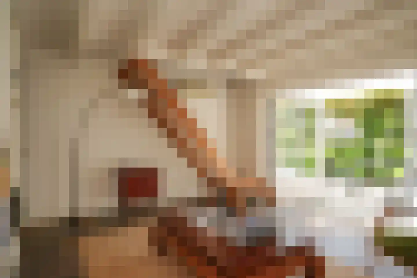 Waaldijk 101 Hurwenen thumbnail 42