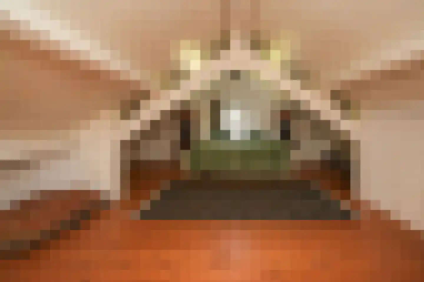 Waaldijk 101 Hurwenen thumbnail 44