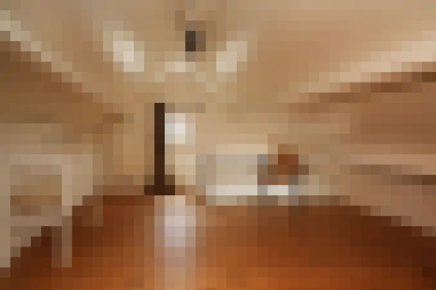 Waaldijk 101 Hurwenen thumbnail 45
