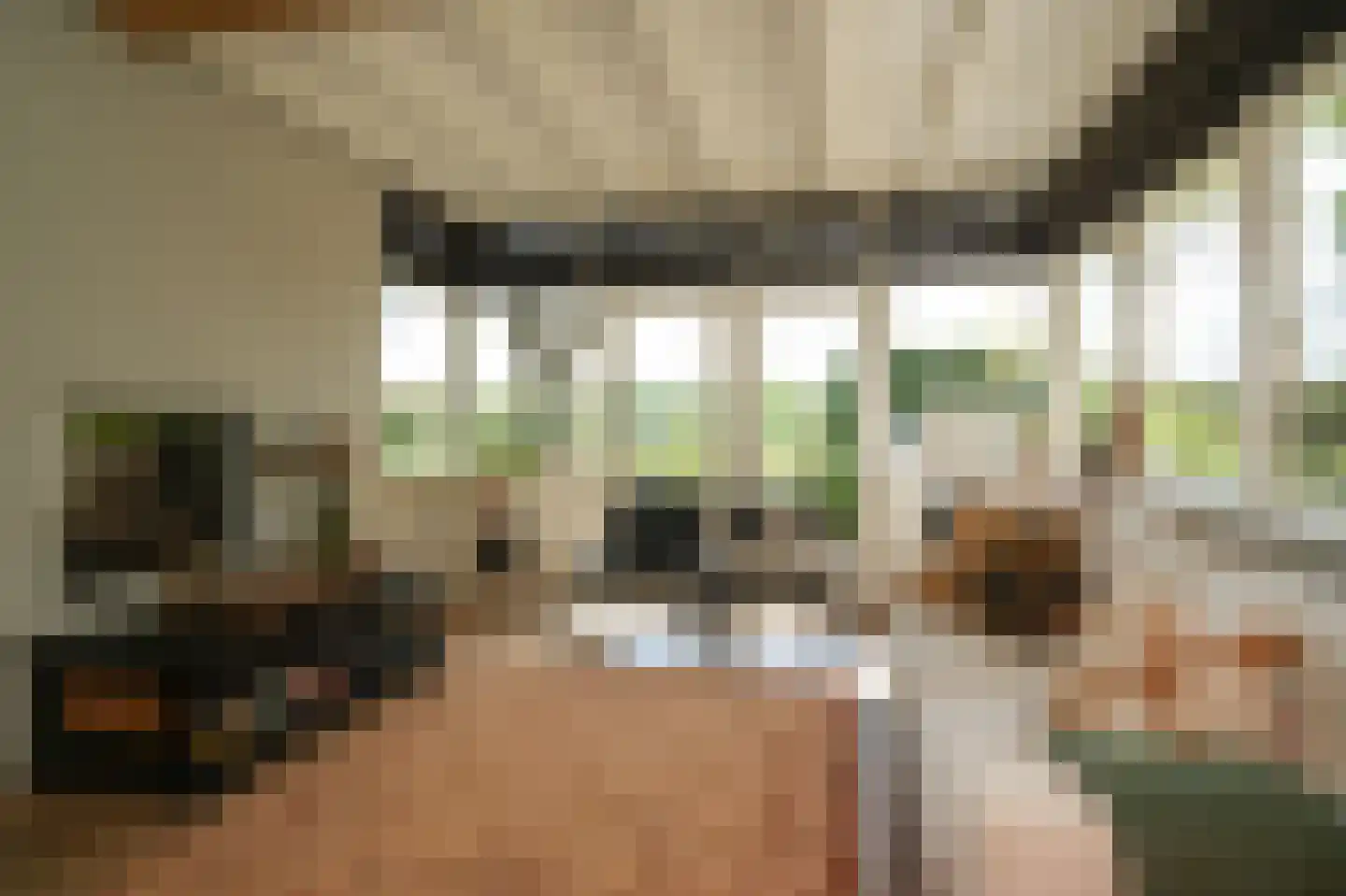 Waaldijk 101 Hurwenen thumbnail 5