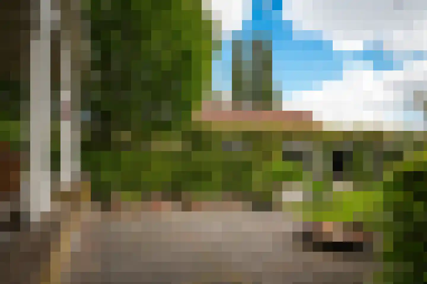 Waaldijk 101 Hurwenen thumbnail 50