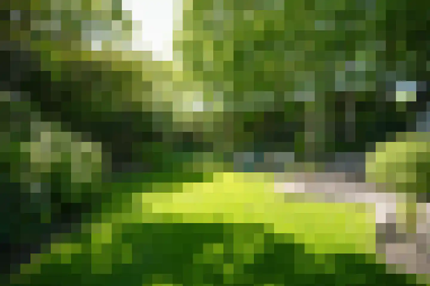 Waaldijk 101 Hurwenen thumbnail 51