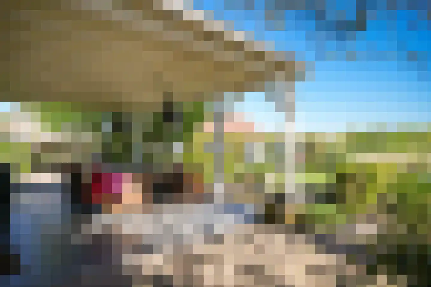 Waaldijk 101 Hurwenen thumbnail 55