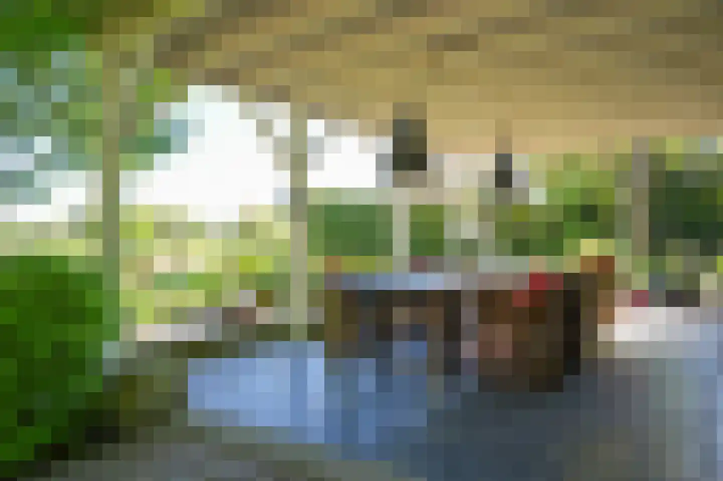 Waaldijk 101 Hurwenen thumbnail 56