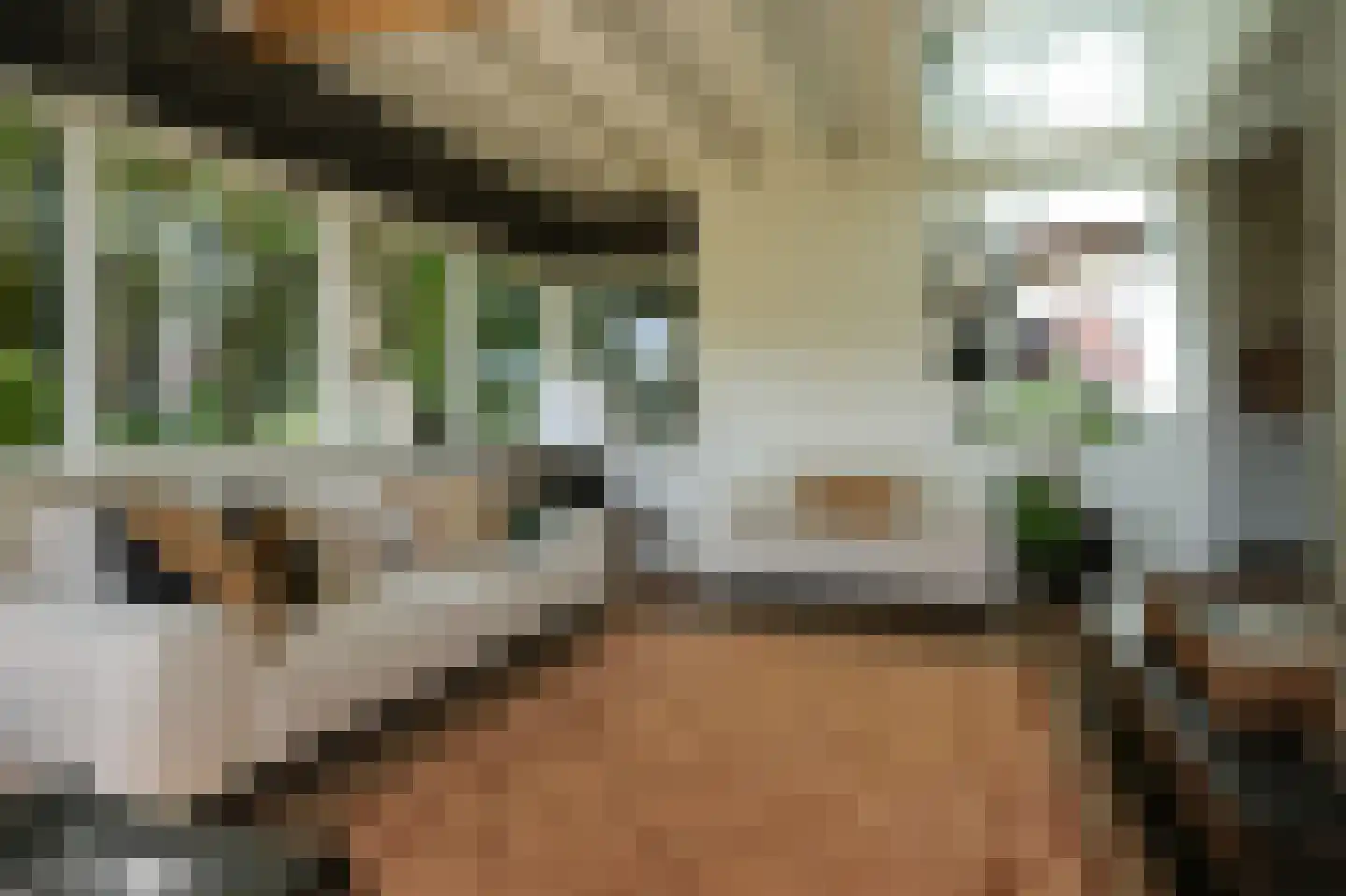 Waaldijk 101 Hurwenen thumbnail 6
