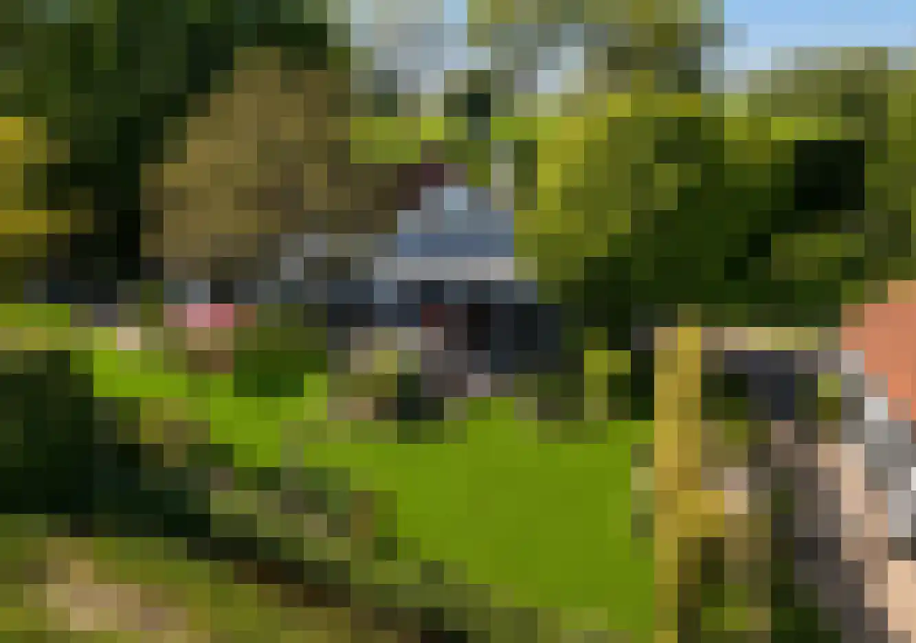 Waaldijk 101 Hurwenen thumbnail 60