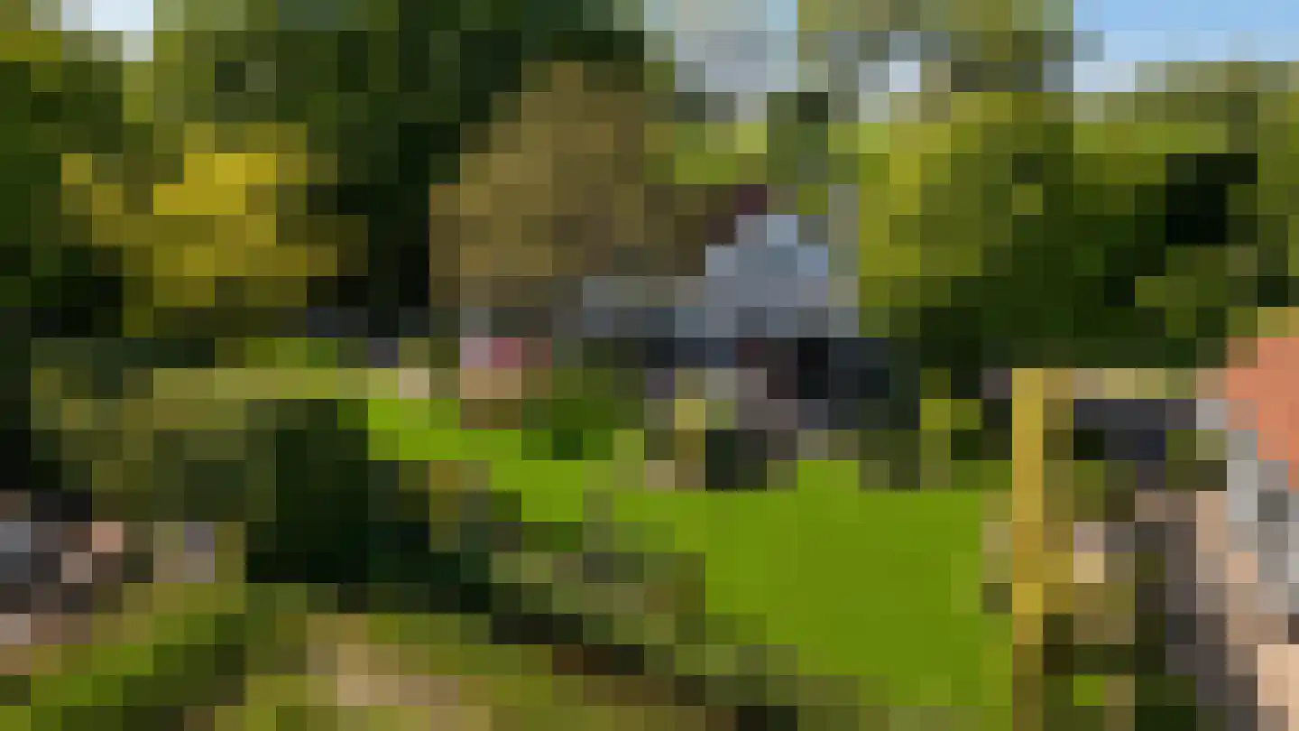 Waaldijk 101 Hurwenen thumbnail 60