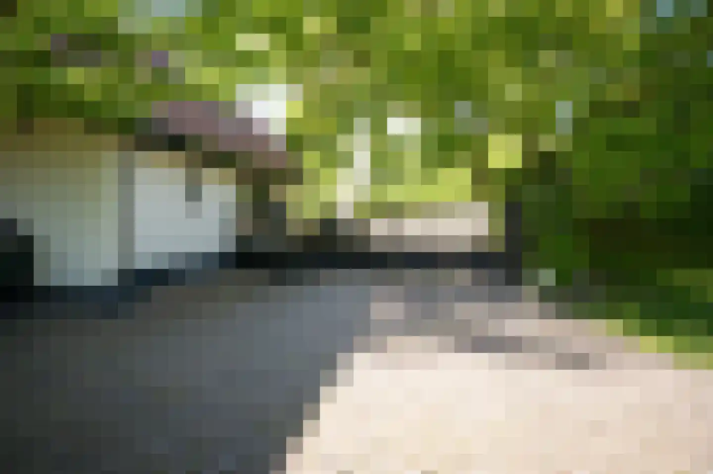 Waaldijk 101 Hurwenen thumbnail 61